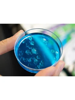 Christmas Gifts Science4You Unicorn Scientist* Christmas Gifts